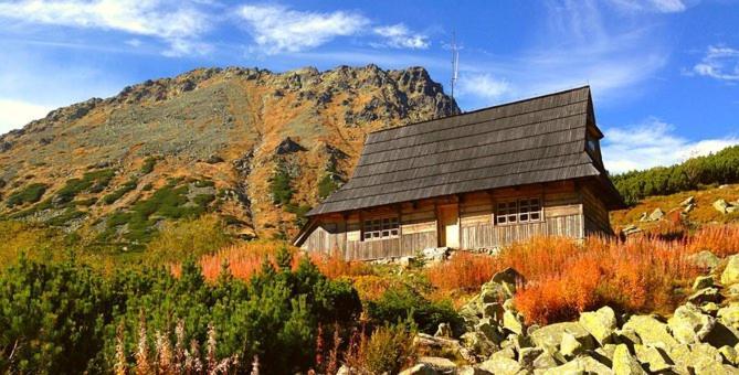 A3Apartament 2 Pokojowy Aneks Kuchenny 2 Lazienki Wlasne Na Korytarzu Villa Jumper Pobyt Na Termach Dla 2 Osob Gratis Zakopane Exteriér fotografie