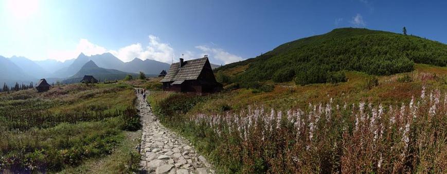 A3Apartament 2 Pokojowy Aneks Kuchenny 2 Lazienki Wlasne Na Korytarzu Villa Jumper Pobyt Na Termach Dla 2 Osob Gratis Zakopane Exteriér fotografie