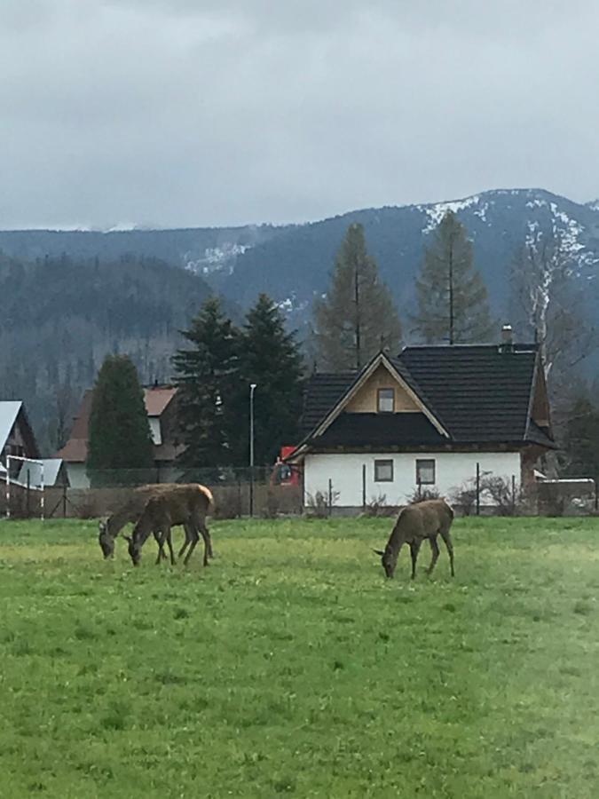 A3Apartament 2 Pokojowy Aneks Kuchenny 2 Lazienki Wlasne Na Korytarzu Villa Jumper Pobyt Na Termach Dla 2 Osob Gratis Zakopane Exteriér fotografie