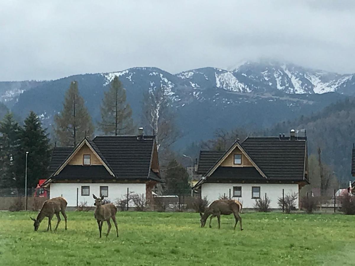 A3Apartament 2 Pokojowy Aneks Kuchenny 2 Lazienki Wlasne Na Korytarzu Villa Jumper Pobyt Na Termach Dla 2 Osob Gratis Zakopane Exteriér fotografie