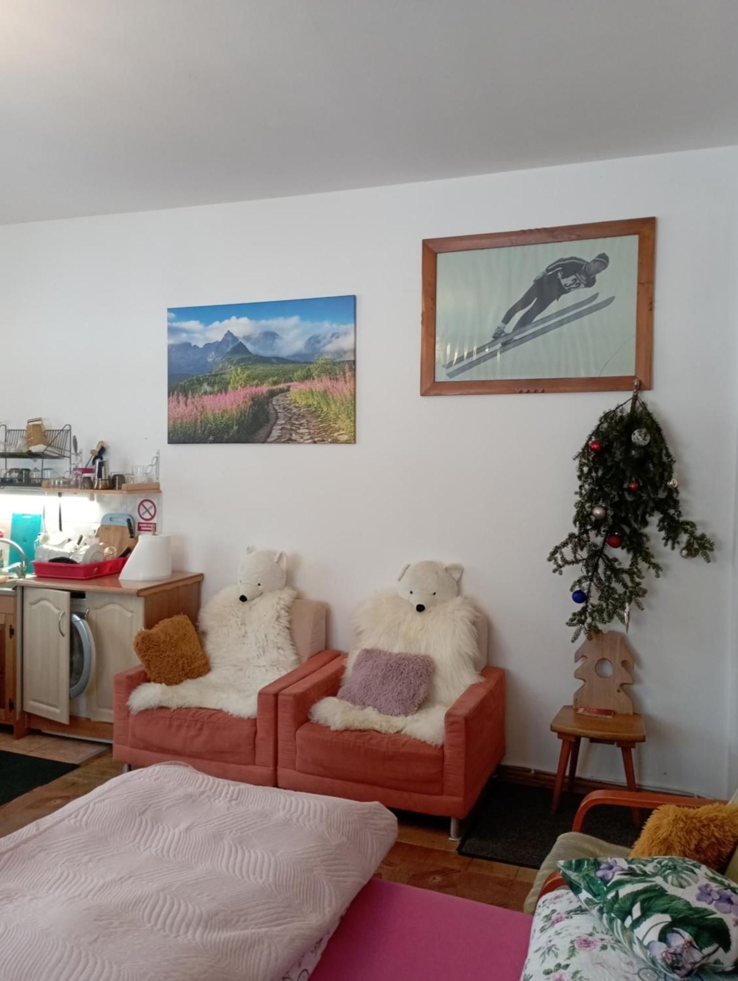 A3Apartament 2 Pokojowy Aneks Kuchenny 2 Lazienki Wlasne Na Korytarzu Villa Jumper Pobyt Na Termach Dla 2 Osob Gratis Zakopane Exteriér fotografie
